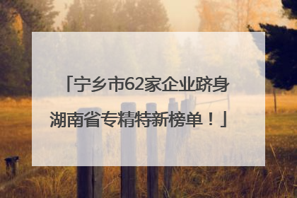 宁乡市62家企业跻身湖南省专精特新榜单！