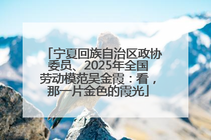 宁夏回族自治区政协委员、2025年全国劳动模范吴金霞：看，那一片金色的霞光