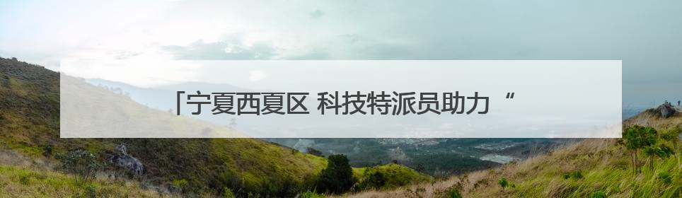 宁夏西夏区 科技特派员助力“紫色经济”酿出乡村振兴新风味
