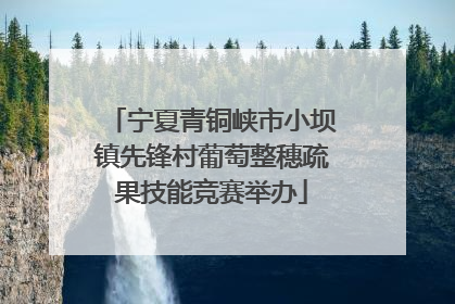 宁夏青铜峡市小坝镇先锋村葡萄整穗疏果技能竞赛举办