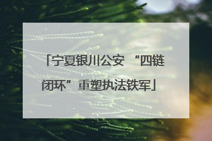 宁夏银川公安 “四链闭环”重塑执法铁军