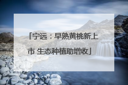 宁远：早熟黄桃新上市 生态种植助增收