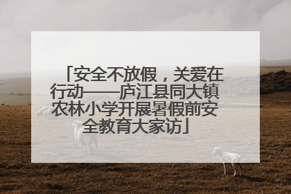 安全不放假，关爱在行动——庐江县同大镇农林小学开展暑假前安全教育大家访