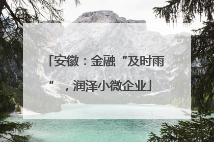 安徽：金融“及时雨”，润泽小微企业