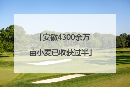 安徽4300余万亩小麦已收获过半