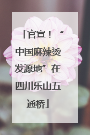 官宣！“中国麻辣烫发源地”在四川乐山五通桥
