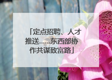 定点招聘、人才推送……东西部协作共谋致富路