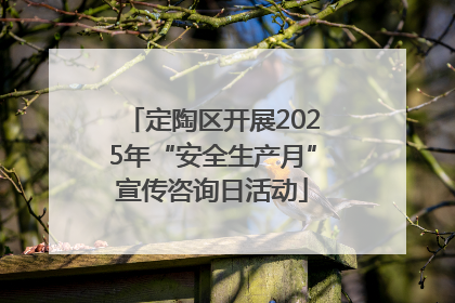 定陶区开展2025年“安全生产月”宣传咨询日活动