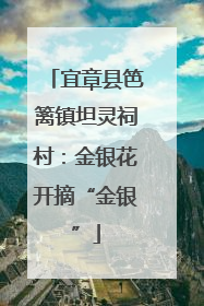 宜章县笆篱镇坦灵祠村：金银花开摘“金银”