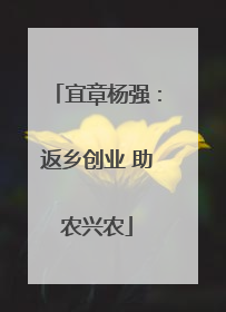 宜章杨强：返乡创业 助农兴农