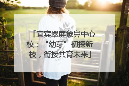 宜宾翠屏象鼻中心校：“幼芽”初探新枝，衔接共育未来