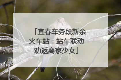 宜春车务段新余火车站：站车联动劝返离家少女