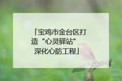 宝鸡市金台区打造“心灵驿站” 深化心防工程