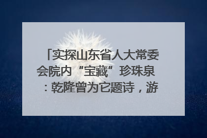 实探山东省人大常委会院内“宝藏”珍珠泉：乾隆曾为它题诗，游客无需预约免费游览