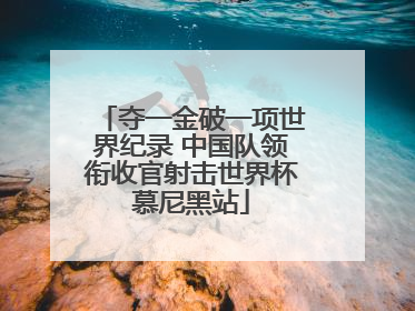 夺一金破一项世界纪录 中国队领衔收官射击世界杯慕尼黑站