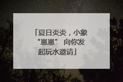 夏日炎炎，小象“崽崽” 向你发起玩水邀请
