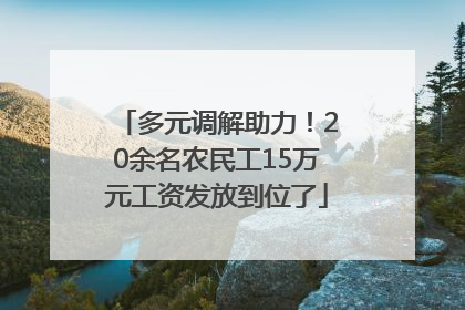 多元调解助力！20余名农民工15万元工资发放到位了