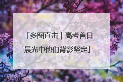 多图直击｜高考首日 晨光中他们背影坚定