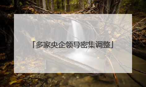 多家央企领导密集调整