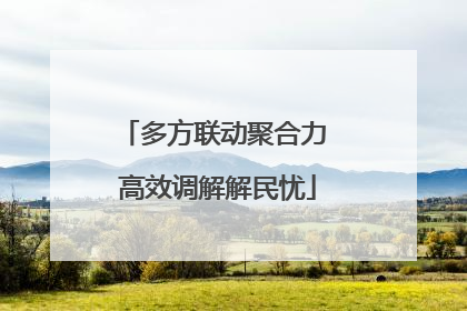 多方联动聚合力 高效调解解民忧