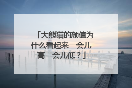 大熊猫的颜值为什么看起来一会儿高一会儿低？