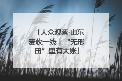 大众观察·山东麦收一线｜“无形田”里有大账