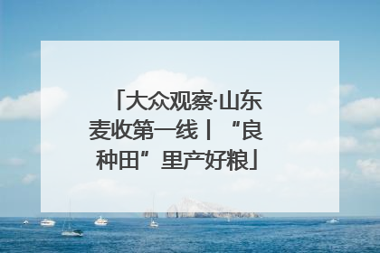 大众观察·山东麦收第一线丨“良种田”里产好粮