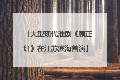 大型现代淮剧《顾正红》在江苏滨海首演