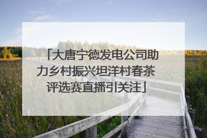 大唐宁德发电公司助力乡村振兴坦洋村春茶评选赛直播引关注