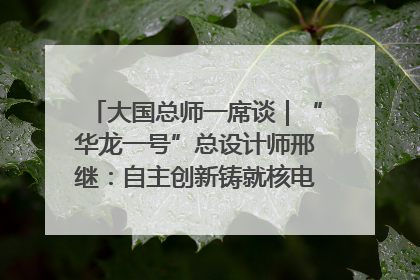 大国总师一席谈｜“华龙一号”总设计师邢继：自主创新铸就核电“国家名片”