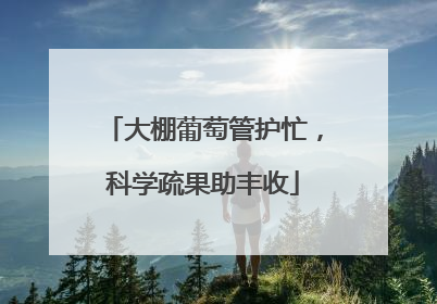 大棚葡萄管护忙，科学疏果助丰收