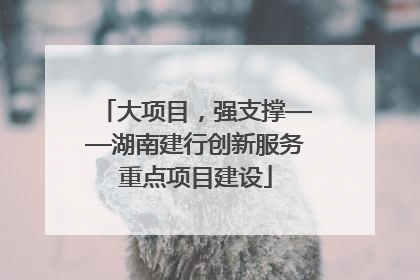 大项目，强支撑——湖南建行创新服务重点项目建设