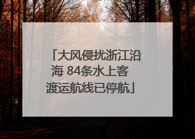 大风侵扰浙江沿海 84条水上客渡运航线已停航