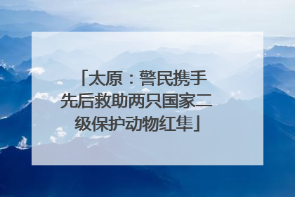 太原：警民携手 先后救助两只国家二级保护动物红隼