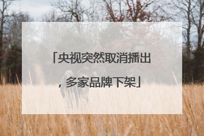 央视突然取消播出，多家品牌下架