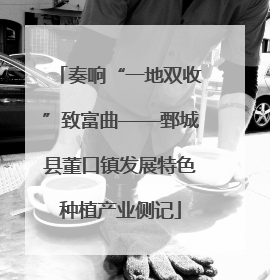 奏响“一地双收”致富曲——鄄城县董口镇发展特色种植产业侧记