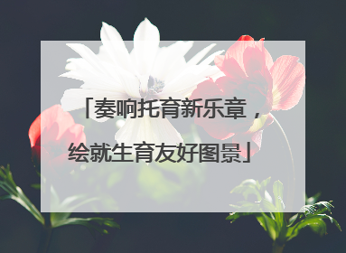 奏响托育新乐章，绘就生育友好图景