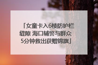 女童卡入6楼防护栏缝隙 海口辅警与群众5分钟救出获赠锦旗