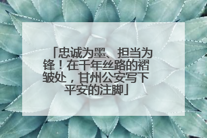 忠诚为墨、担当为锋！在千年丝路的褶皱处，甘州公安写下平安的注脚