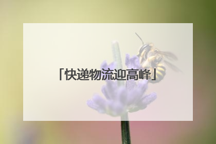 快递物流迎高峰