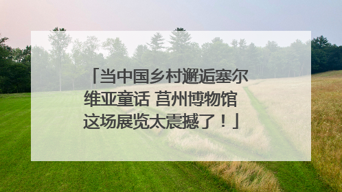 当中国乡村邂逅塞尔维亚童话 莒州博物馆这场展览太震撼了！