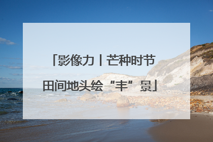影像力丨芒种时节 田间地头绘“丰”景