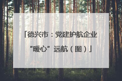 德兴市：党建护航企业“暖心”远航（图）
