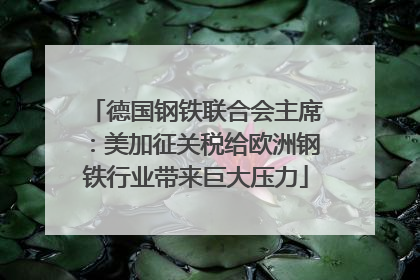 德国钢铁联合会主席：美加征关税给欧洲钢铁行业带来巨大压力