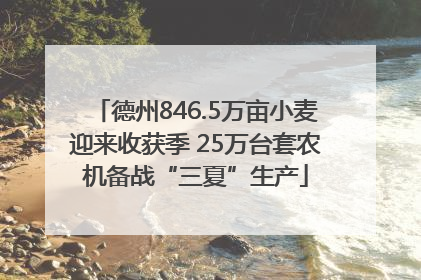 德州846.5万亩小麦迎来收获季 25万台套农机备战“三夏”生产