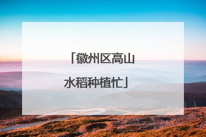 徽州区高山水稻种植忙