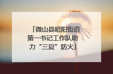 微山县昭阳街道第一书记工作队助力“三夏”防火