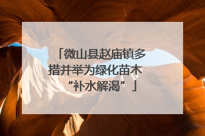 微山县赵庙镇多措并举为绿化苗木“补水解渴”
