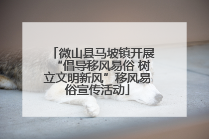 微山县马坡镇开展“倡导移风易俗 树立文明新风”移风易俗宣传活动