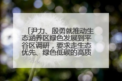 尹力、殷勇就推动生态涵养区绿色发展到平谷区调研，要求走生态优先、绿色低碳的高质量发展之路